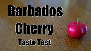 Barbados Cherry Taste Test [upl. by Lepper]