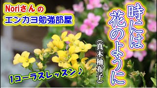 No34『時には花のように』真木柚布子【Noriさんの1コーラスレッスン】 [upl. by Gaither]