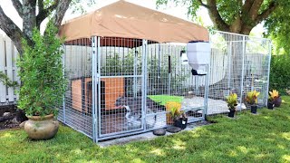 The Ultimate Dog Kennel System  Caona Bully Kennels 😀 2020 Yard Tour Kennel Setups and Upgrades [upl. by Xirdnek]