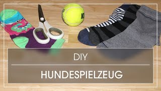 DIY Hundespielzeug  Hundespielzeug einfach und schnell selber machen [upl. by Ahselrac]