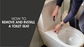 How to Remove and Install a Toilet Seat [upl. by Enomas]