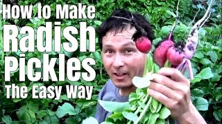 How to Make Radish Pickles the Easy Way [upl. by Cleopatra978]