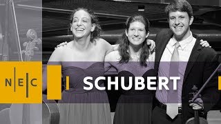 Schubert Piano Trio in Eflat major Op 100 [upl. by Ijat]