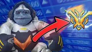 Educational Unranked To TOP500 Winston Only [upl. by Yrrum]