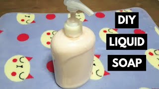 DIY  How to Make Liquid Soap From Bar Soap [upl. by Aivartal]