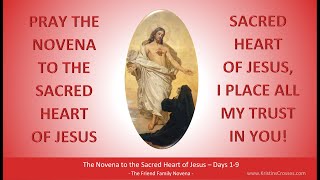 Pray the Novena to the Sacred Heart of Jesus Days 19 [upl. by Ehman]