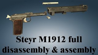 Steyr M1912 full disassembly amp assembly [upl. by Aciemaj]