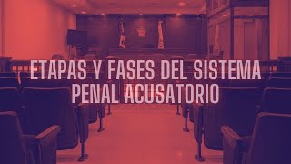 ETAPAS Y FASES DEL SISTEMA PENAL ACUSATORIO [upl. by Maryn]