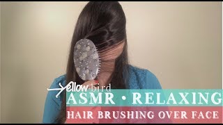 ASMR • RELAXING Hair Brushing Over Face [upl. by Orfinger36]