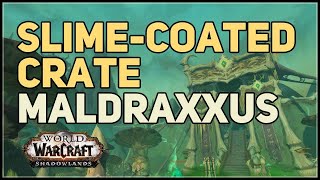 SlimeCoated Crate WoW Maldraxxus Treasure [upl. by Adraynek]