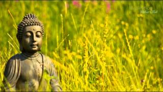 Zen Entspannungsmusik Wellness amp Regeneration Yoga Musik Tiefenentspannung amp Meditation [upl. by Nannah]