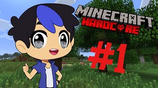 MINECRAFT HARDCORE MODE STREAM 1 [upl. by Attelrahc]