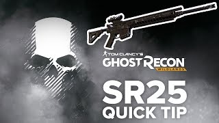 SR25 location and info  Ghost Recon Wildlands quick tip [upl. by Midian672]