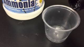 How to make exploding NITROGEN TRIIODIDE NI3 [upl. by Harsho71]