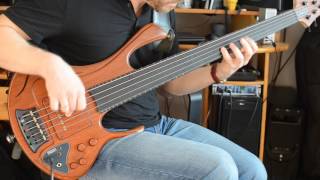 Zakrzewski Exclusive Fretless Bass SOUNDTEST [upl. by Ococ991]