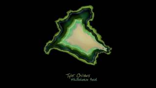 Tyler Childers  Whitehouse Road Official Audio [upl. by Ahsiam]