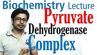 Pyruvate dehydrogenase complex [upl. by Luo]