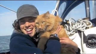 Sailing Simplicity Life Aboard sv Daphne a Smallboat Norsea27 [upl. by Einahpets]