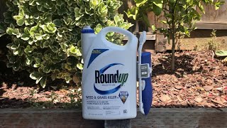 Review Roundup weed and grass killer [upl. by Vyky]