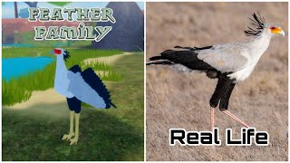 Feather Family In Real Life 4 [upl. by Yennaiv]