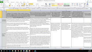 How to Create a Literature Matrix Excel [upl. by Claybourne277]