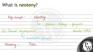 What is neoteny [upl. by Tenej]