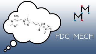 Pyruvate Dehydrogenase Complex Detailed Overview [upl. by Ogdan]