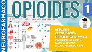 OPIOIDES ESCALERA TERAPEUTICA RESUMEN Clasificaciones Estructura Receptores Farmacología 1 [upl. by Lyj]