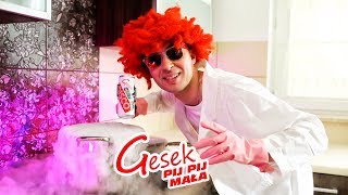 Gesek  Pij pij mała Official Video [upl. by Angelia]