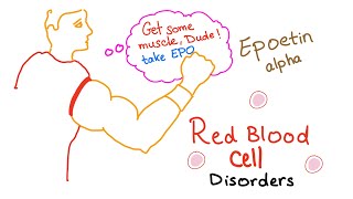 Erythropoietin EPO amp Red Blood Cells RBCs  Oxygenation  Endurance  Exercise [upl. by Winograd]