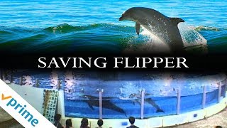 Saving Flipper  Trailer  Available Now [upl. by Sparks]