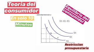 TEORIA del CONSUMIDOR  CURVA de INDIFERENCIA y EQUILIBRIO del CONSUMIDOR [upl. by Dorian207]