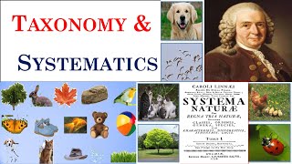 Taxonomy  Systematics  Carolus Linnaeus  Part 1 [upl. by Airat]