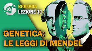 BIOLOGIA  Lezione 11  Genetica Le Leggi di Mendel [upl. by Asserac]