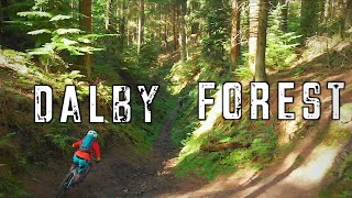 Dalby Forest Mtb  Black world cup route and Red trail [upl. by Radley]