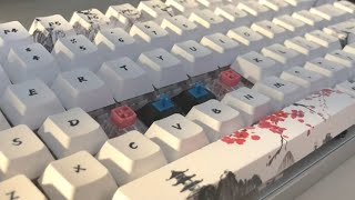 Kailh BOX Clicks WhitePinkJadeNavy vs Cherry MX Blue Switches [upl. by Iderf353]