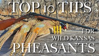 Top Ten Tips for Wild Pheasant Success [upl. by Luthanen]