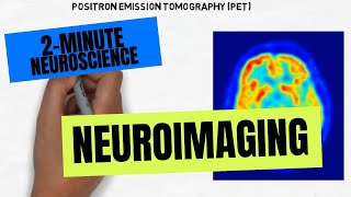 2Minute Neuroscience Neuroimaging [upl. by Nnahtebazile]