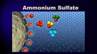 Bioprocessing Part 3 Purification [upl. by Enylekcaj]