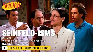 Seinfeldisms A Guide  Seinfeld [upl. by Aicilif]