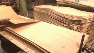 How its made  Plywood doors [upl. by Adrea]