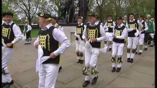 Morris Men dancing at Westminster [upl. by Appledorf291]