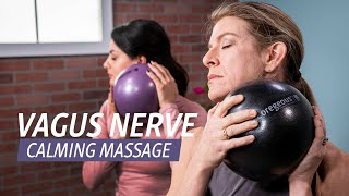 Vagus Nerve Calming Massage [upl. by Dlarej]