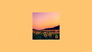 Rex Orange County  Sunflower  slowed [upl. by Lesoj]