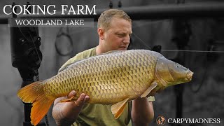 COKING FARM  WOODLAND LAKE  DAY TICKET SPRING CARP FISHING [upl. by Ottavia]