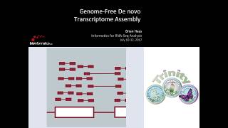 GenomeFree De Novo Transcriptome Assembly [upl. by Cagle]