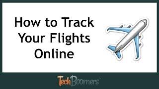 How to Track Your Flights Online [upl. by Anitnatsnoc105]