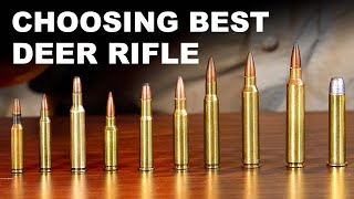 Choosing Your Best Deer Cartridge [upl. by Fates]