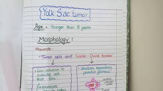 The Basics of Testicular Cancer 5 Ws [upl. by Oderfodog387]