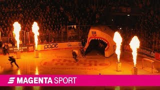 Derby 221 Kölner Haie vs Düsseldorfer EG 1819  MAGENTA SPORT [upl. by Nahrut]